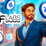 DWF Labs Launches $20 Million Fund for Meme Coin Creators