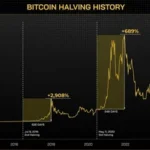 Cause of BTC's $98,000 Surge and Next Steps