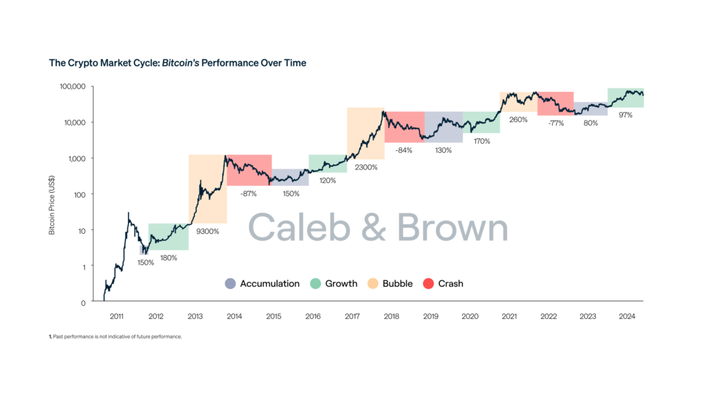 Bitcoin Price Volatility