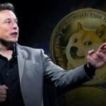 Elon Musk DOGE Posts Question Intentional Manipulation