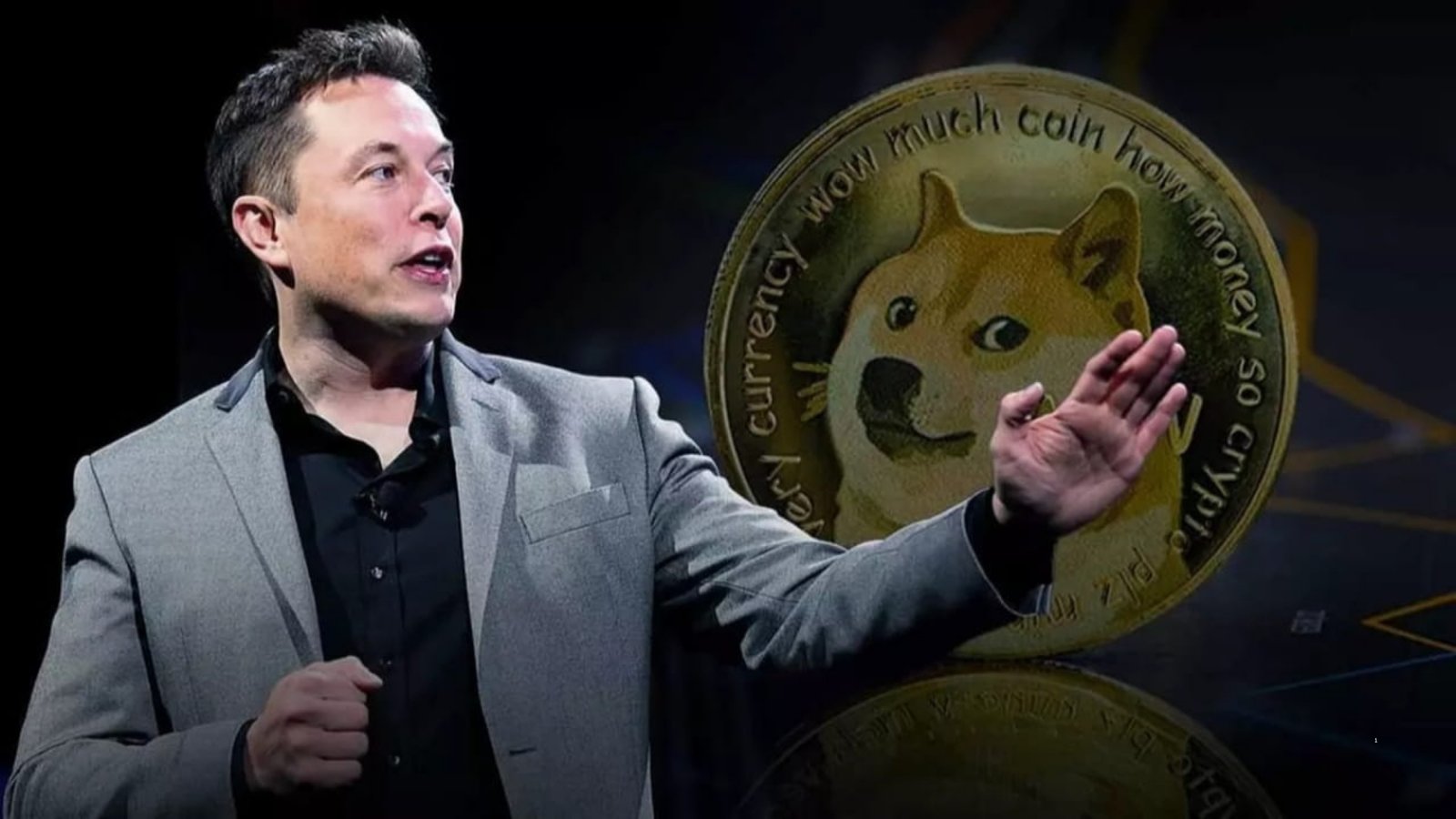 Elon Musk DOGE Posts Question Intentional Manipulation