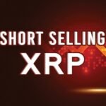 The Short Seller Gets REKT as XRP Rises 25% in 24 Hours