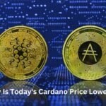 Why Is Today's Cardano Price Lower?