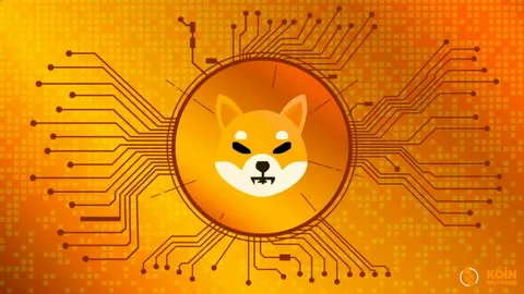 XLM-Market-Cap-Exceeds-Shiba-Inu-SHIB