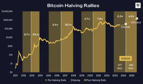 Will December Beat November's Record Bitcoin Price Rise?