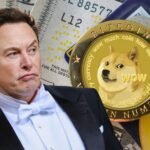 DOGS meme coin helps NGO Save Homeless Strays