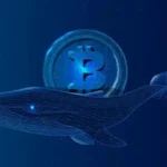 Crypto Whale Earn