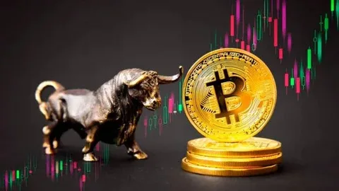 Tutor Warns Bitcoin Bull Run Nearing End