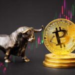 Bitcoin Bull 2025