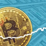 Bitcoin's Wild Ride Divides