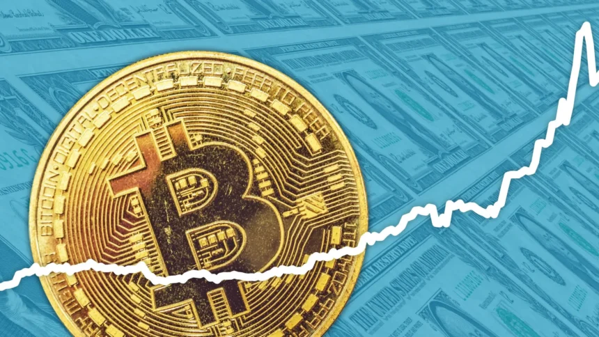 Bitcoin's Wild Ride Divides