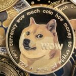 SEC Audit DOGE Deaton XRP