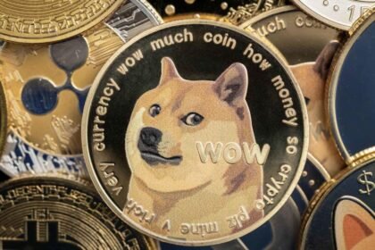 SEC Audit DOGE Deaton XRP