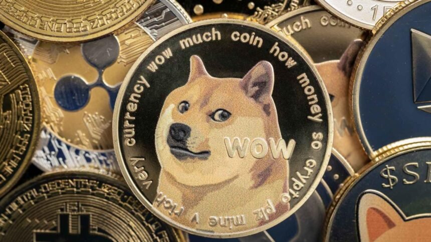 SEC Audit DOGE Deaton XRP