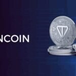 Toncoin Investors