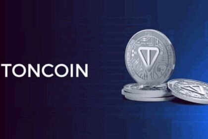 Toncoin Investors