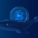 Whale sells USDC