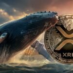 XRP Whale Dump