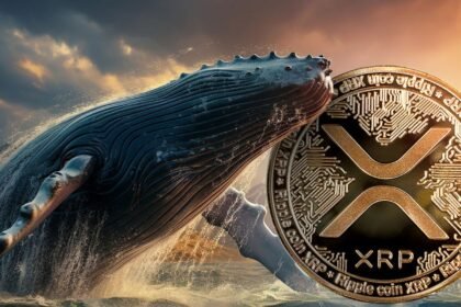 XRP Whale Dump