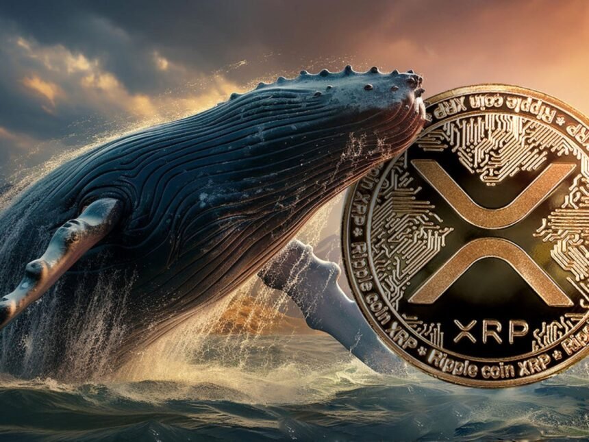 XRP Whale Dump