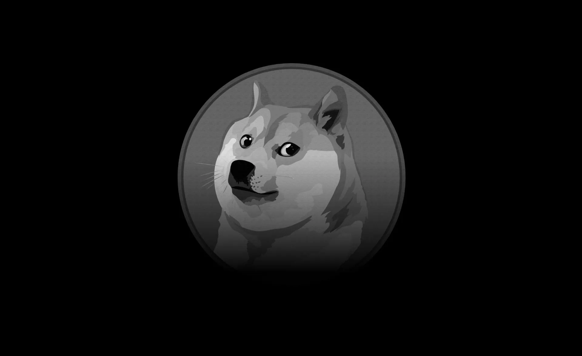 DOGE, the Meme Coin